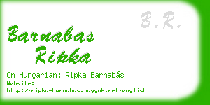 barnabas ripka business card